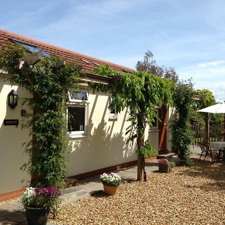 Ashford House B&B Wells Eksteriør billede