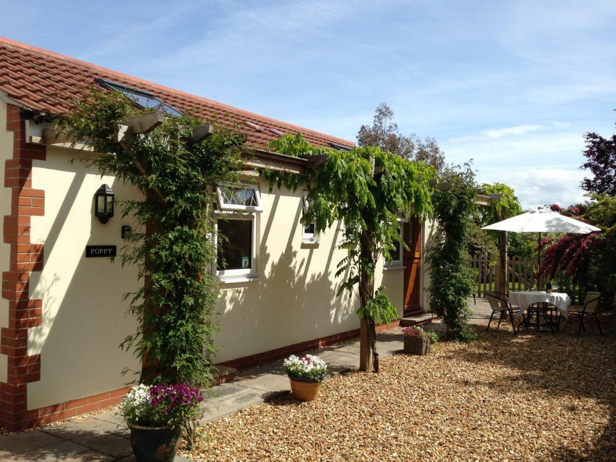 Ashford House B&B Wells Eksteriør billede